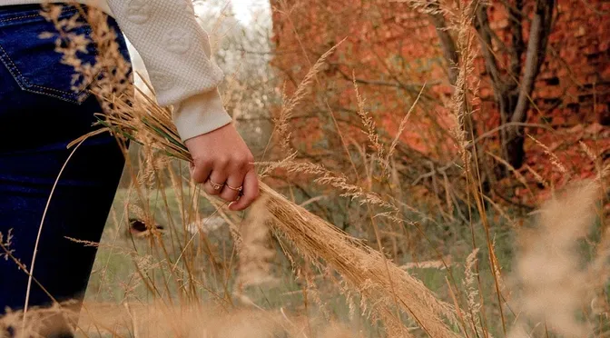 Wisdom
